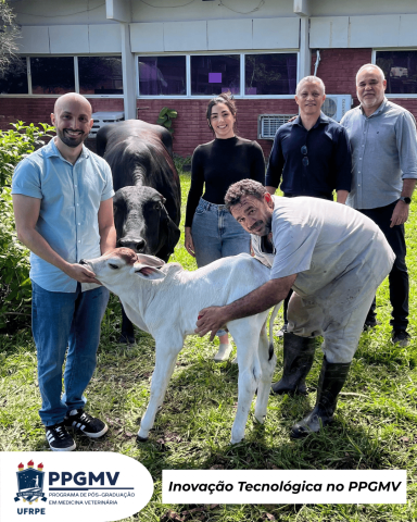 Inovação tecnológica