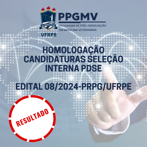 Internacionalização