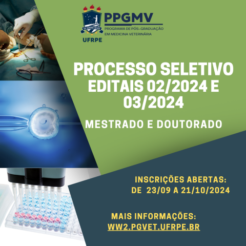 Processo Seletivo Mestrado e Doutorado 2025