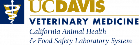 PPGMV divulga resultado do Edital 01 CAPES-PrInt-UFRPE