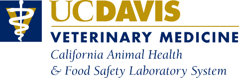 Resultado final do edital EDITAL 01/2020