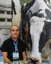 Profile picture for user PIERRE CASTRO SOARES